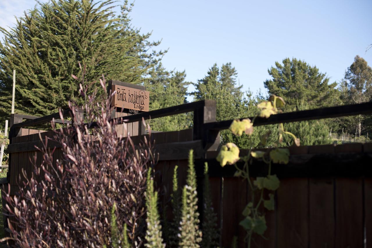 Lodge Punta Ballena Pichilemu